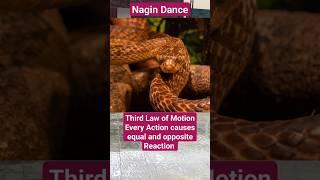 Newton's third law of motion #force #Force and Laws of Motion #physics #science #class 9 #class