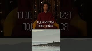 Ты удивишься когда узнаешь, какое послание привносили Пророки для людей!
