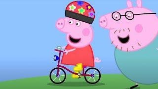 Peppa Pig Goes on a Bike Ride!  | Cartoons for Kids | Full Episodes | Peppa Pig