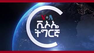 ፈነወ ድምጺ ኣመሪካ ቋንቋ ትግርኛ 19 ሰነ 2020 VOATigrigna Daily Show 19 June 2024