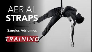 Aerial Straps | Training at Montreal