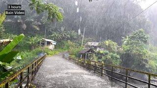 Heavy rain in the beautiful countryside of Indonesia||sleep soundly in 5 minutes