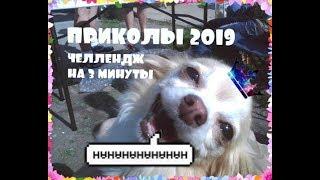 ПРИКОЛЫ 2019 СМЕШНО ДО СЛЕЗ ► ЧЕЛЛЕНДЖ НА 3 МИНУТЫ РАССМЕЯЛСЯ - ПРОИГРАЛ