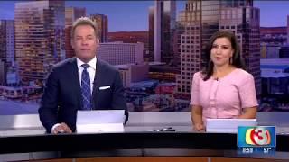 George Brazil Air Conditioning & Heating - GMAZ - Tune-up Feature