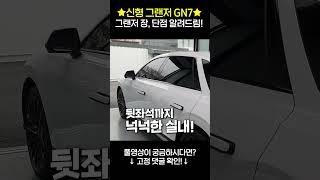 신형 현대 디 올 뉴 그랜저 장, 단점! #shorts