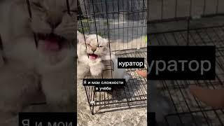 Вы знаете к кому обращаться в нашем колледже #дистанционноеобучение