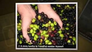 "Wine and Olives" Thymeoff's photos around Mendoza, Argentina (mendoza argentina traveling blog)