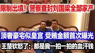 刘国梁受贿金额曝光，顶奢豪宅似皇宫。已被限制出境查封家产。王楚钦：都是我一拍一拍的血汗钱#王楚钦#孙颖莎#莎头