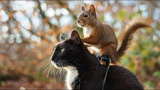 A house CAT became the foster DAD of an abandoned SQUIRREL!