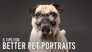 How to Take Better Pet Portraits in Studio: 5 Tips with Adam Goldberg