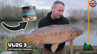 Cottington Fishery | New Pepper | Carp Fishing | Chasing the 40lb Carp Vlog 3