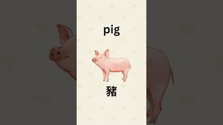 Animal names in Chinese and English #chineselanguage #chineselearning #chinesevocabulary