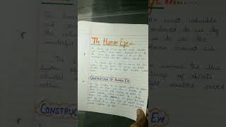 Creative Project File of Physics on Topic (Human Eye) //Class10th//Project work//School Project