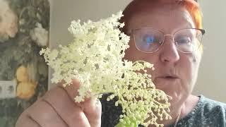 НОВЫЙ РЕЦЕПТ! ТВОРИМ ВКУСНЯШКИ ИЗ НИЧЕГО! / 1630