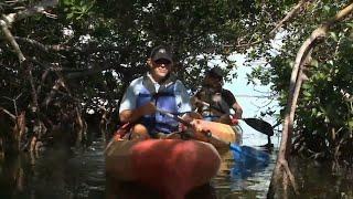 Inside look at the Big Pine Key in the Lower Florida Keys