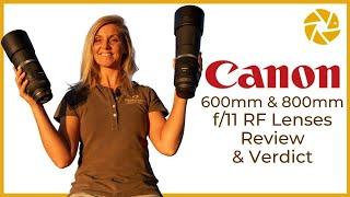 Canon RF Lenses For Wildlife Photography - 600mm and 800mm f/11 TESTED ON SAFARI