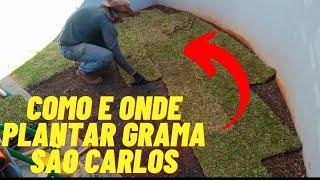 como e onde plantar grama São Carlos !