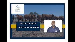 Tip 2: Livestock Management