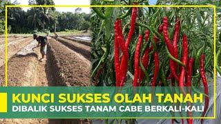 SIMAK BAIK-BAIK‼ HASIL BERGURU DENGAN MAHA GURU | ILMU DASAR OLAH TANAH | PART 1