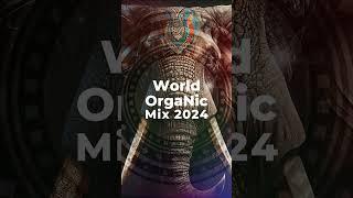 WORLD ORGANIC | Finest Organic & Oriental Deep House