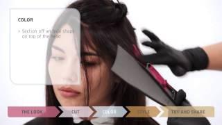 Creative Blending with Magma   Wella Professionals How To,