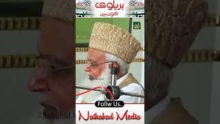 Bralvi Kon Han? | who Are Bralvi? | Pir Muhammad Afzal Qadri #bralvi #alahazrat #imamahmadrazakhan