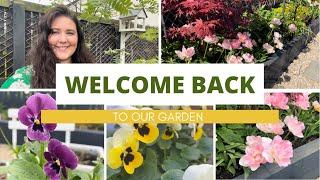 Welcome back to my garden! Spring 2022/What I’ve been getting up to over the winter // NOVICE GARDEN