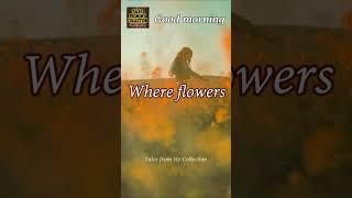 Where flowers bloom - Good morning quote # positive vibes #positiveenergy  #shorts #youtubeshorts