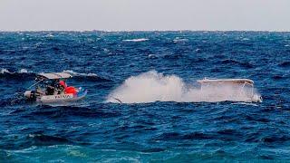 Young humpback whale rescued off the Gold Coast