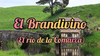 EL RÍO BRANDIVINO