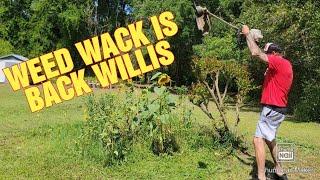 WEED WACK IS BACK WILLIS