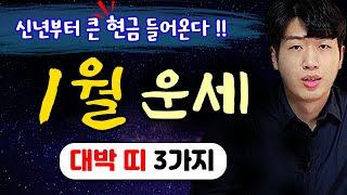 [신년 띠별 운세] 양력 1월, 새해부터 돈이 들어오는 대박 띠 3가지 !! 