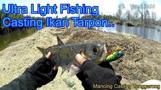 Sensasi Mancing Casting Ikan Tarpon - Ultralight Fishing Kukar