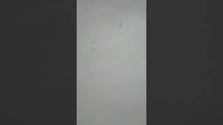 Демонтаж потолка