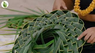 HOW TO MAKE COCONUT HAT WITH COCOKEALOHI