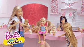 Filhotes Para Dar e Vender | Barbie LIVE! In The Dreamhouse | Barbie Português