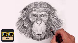 How To Draw a Chimpanzee | Sketch Tutorial