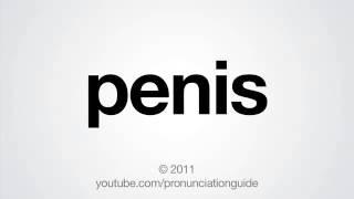 How To Pronounce Penis