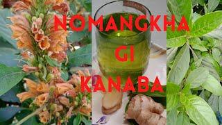 Nongmangkha gi kanaba