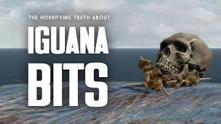 The Horrifying Truth About Iguana Bits - The Full Story of Doc Morbid - Fallout 1 Lore