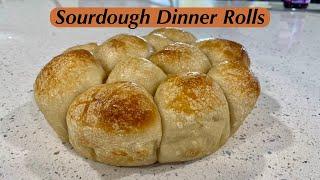 Sourdough Dinner Rolls