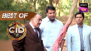 एक Coffin का राज़ पता लगाने के लिए Team CID पहुँची Jungle में | CID | Best Of CID