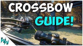 NEW Crossbow Guide! - TheHunter: Call of the Wild