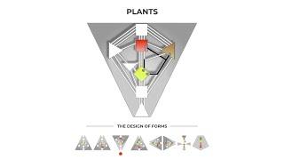 Plants | The Design of Forms | Part 3