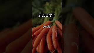 #shorts #PurpleCarrotHistory #OriginsOfCarrots #CarrotTrivia #AncientCarrots #CarrotEvolution