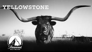 A Trip Back in Time | Yellowstone + 1883 | Paramount Network