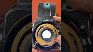 Bên trong chiếc máy ảnh 1999