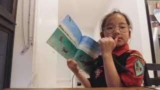 Somwhere in Australia read aloud Maisie Tran