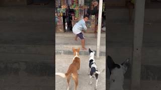 Kutta Ko Ghussa Aa Gaya  #viral #funny #shorts