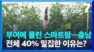 부여에 몰린 스마트팜…충남 전체 40% 밀집한 이유는? / KBS  2023.07.05.